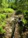 dscn4747_small.jpg