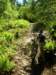 dscn4748_small.jpg