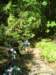 dscn4749_small.jpg