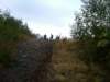 img00820201008071257_small.jpg