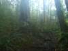 img00823201008071259_small.jpg