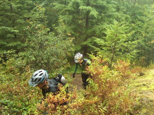 img00828201008071309.jpg