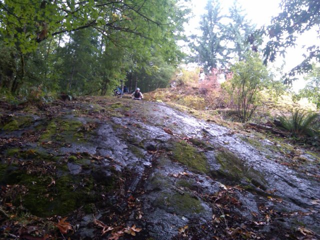 img00831201008071329.jpg