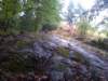 img00831201008071329_small.jpg