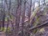 img00849201008071431_small.jpg